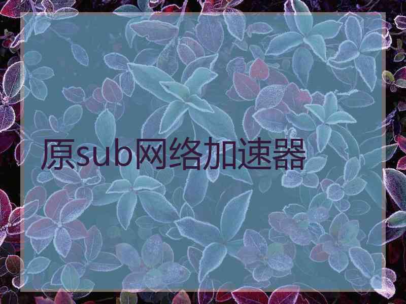 原sub网络加速器