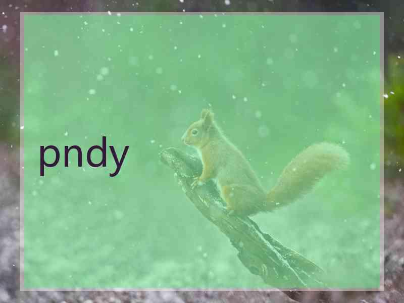 pndy