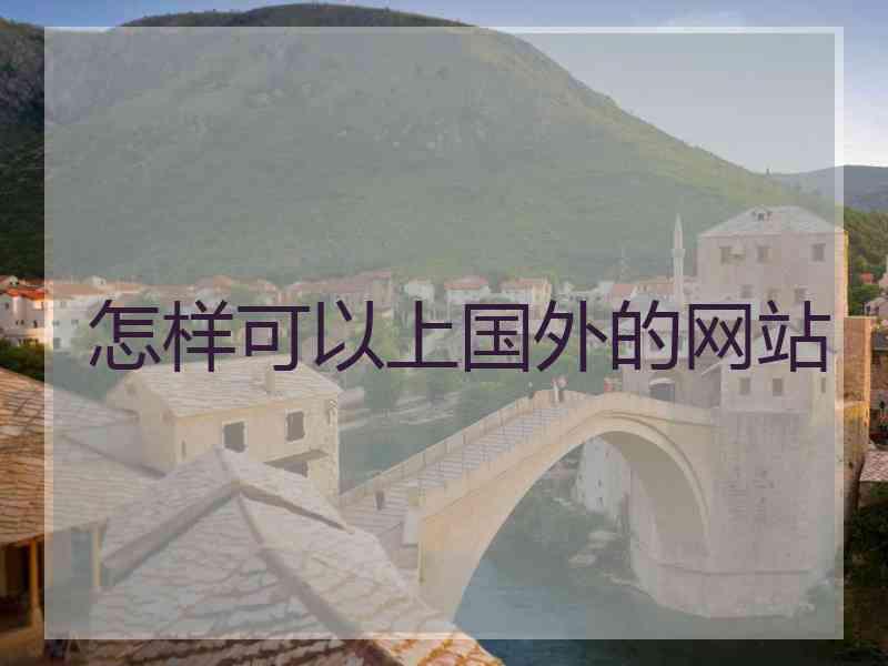怎样可以上国外的网站