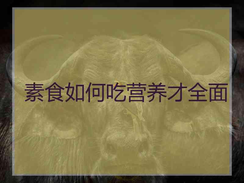 素食如何吃营养才全面