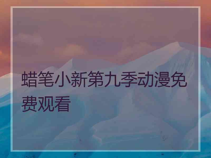 蜡笔小新第九季动漫免费观看
