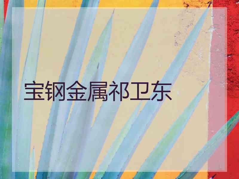 宝钢金属祁卫东