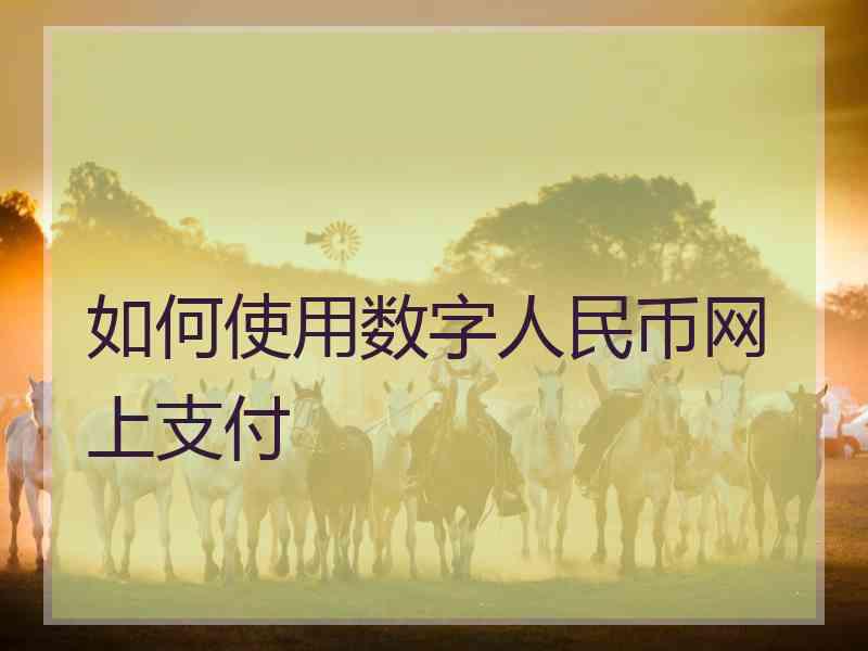 如何使用数字人民币网上支付