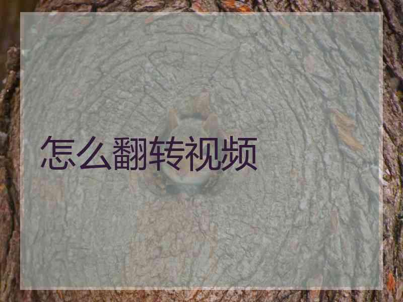 怎么翻转视频
