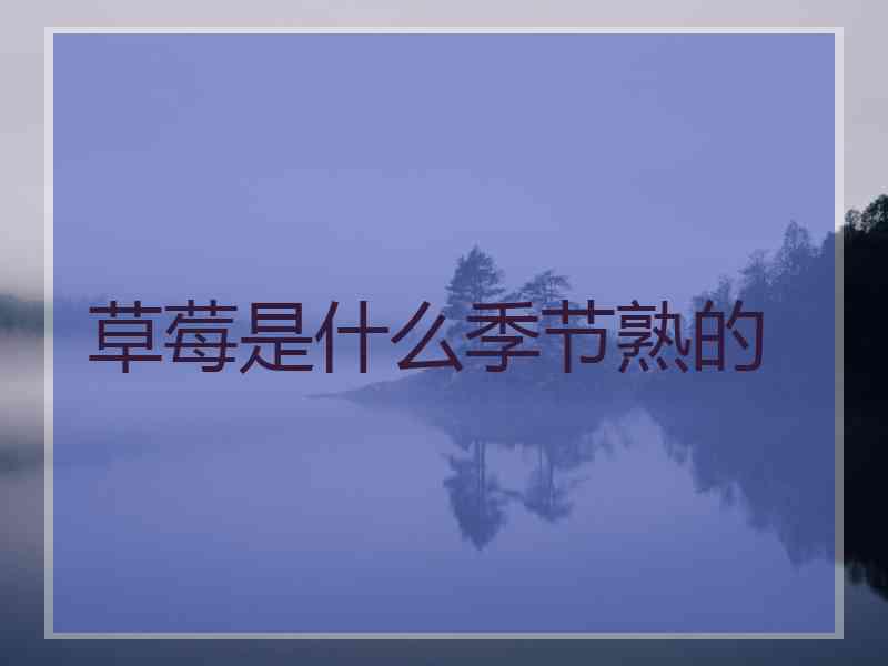 草莓是什么季节熟的
