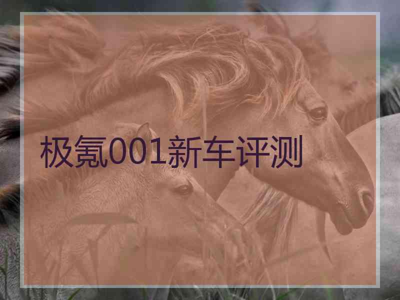 极氪001新车评测