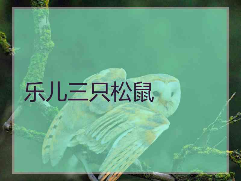 乐儿三只松鼠