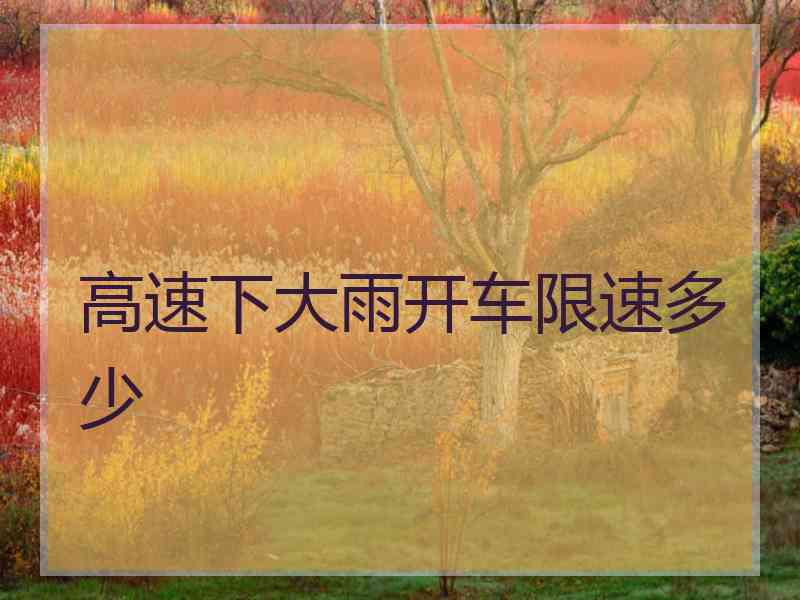 高速下大雨开车限速多少