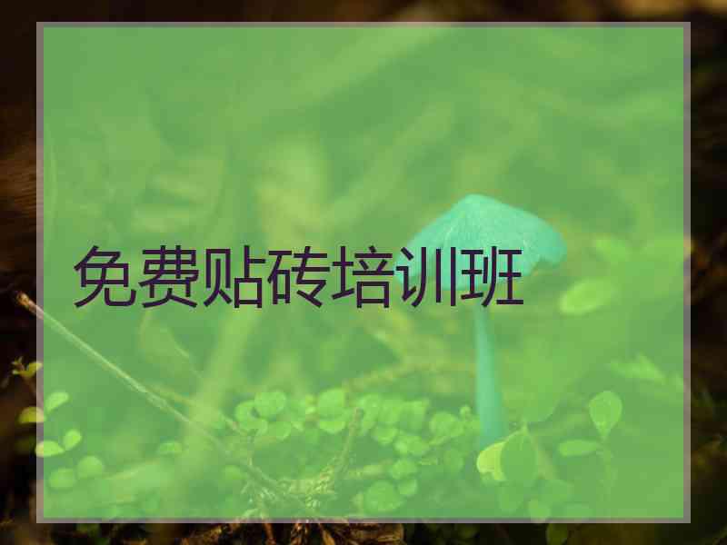 免费贴砖培训班