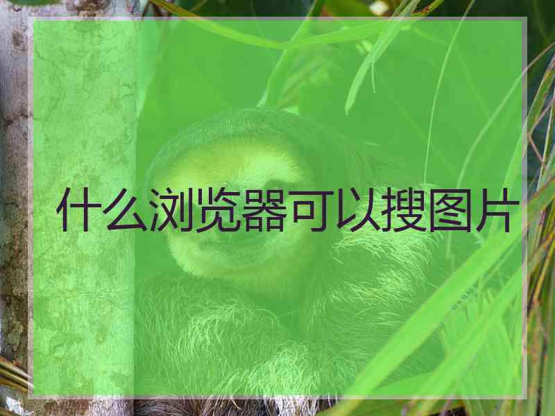 什么浏览器可以搜图片