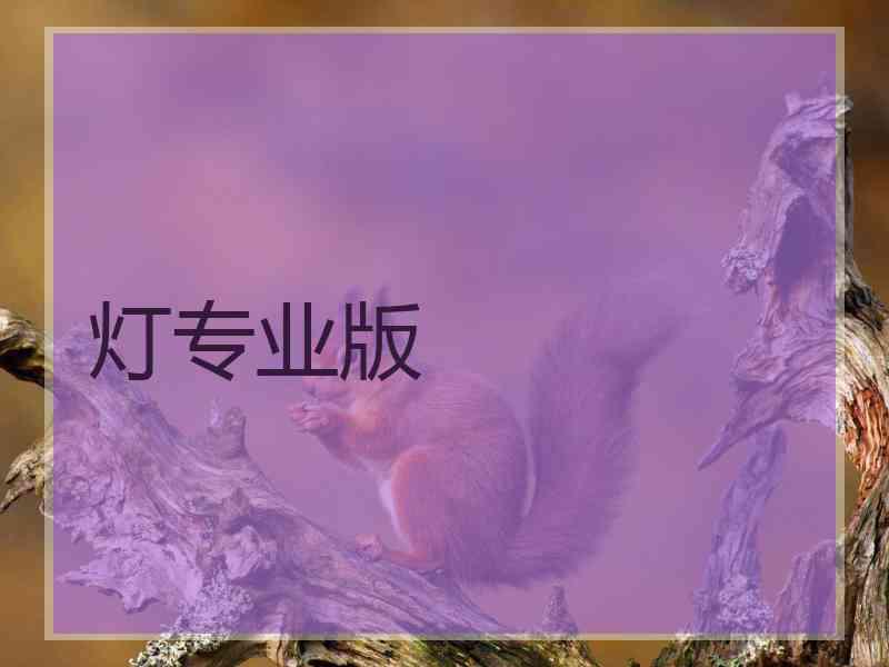 灯专业版