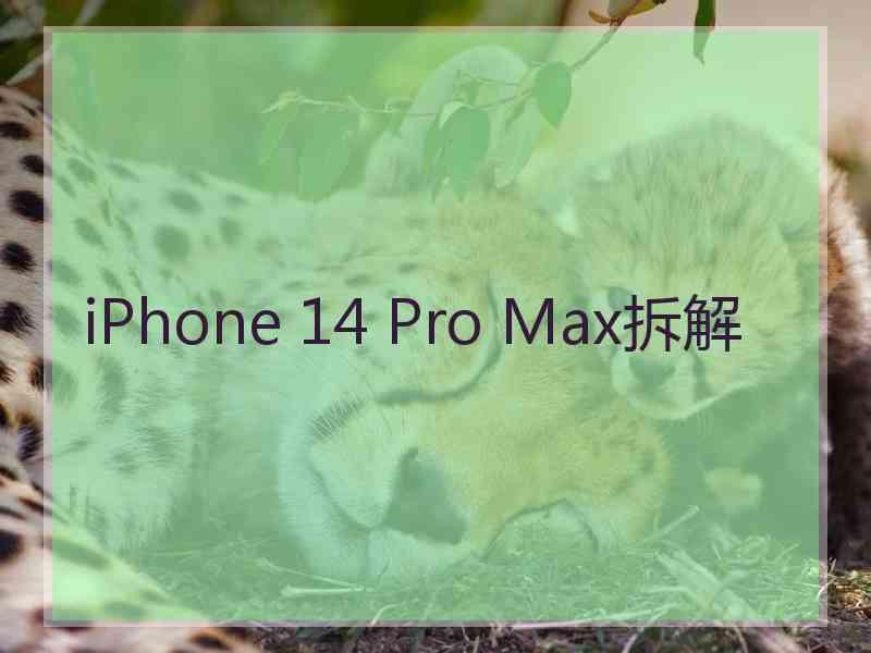 iPhone 14 Pro Max拆解
