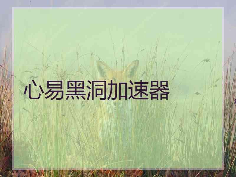心易黑洞加速器