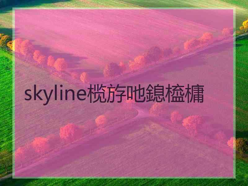 skyline榄斿吔鎴橀槦
