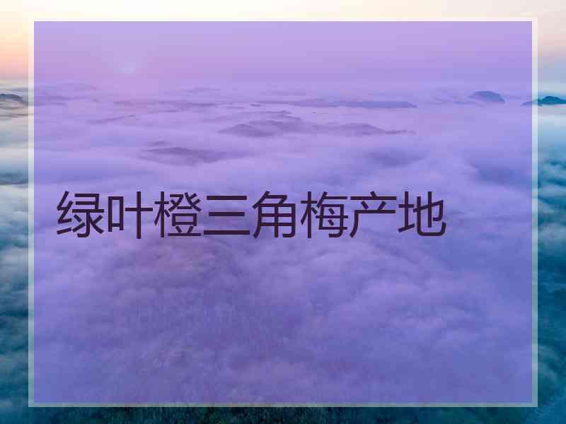 绿叶橙三角梅产地