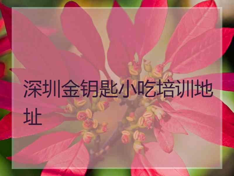 深圳金钥匙小吃培训地址