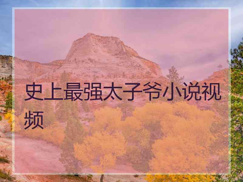 史上最强太子爷小说视频