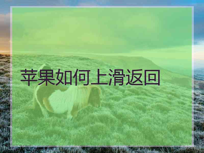 苹果如何上滑返回