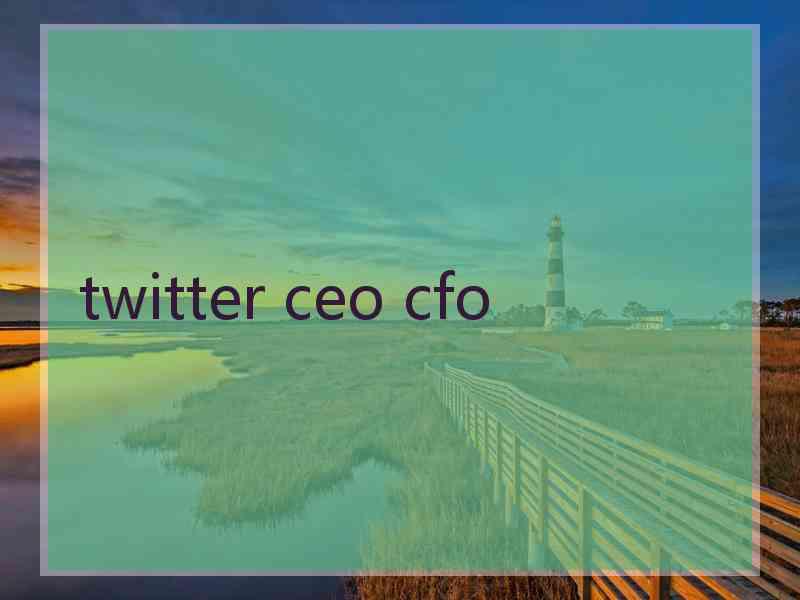 twitter ceo cfo
