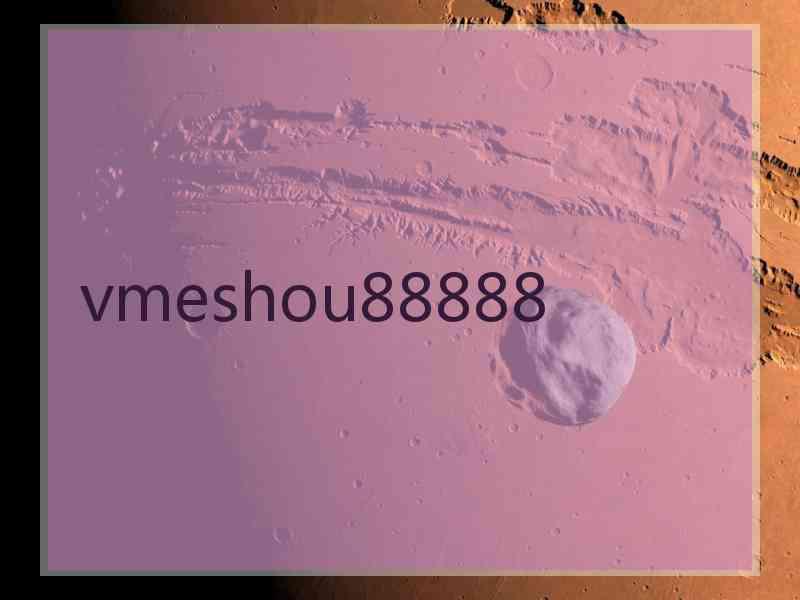 vmeshou88888