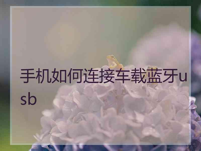 手机如何连接车载蓝牙usb