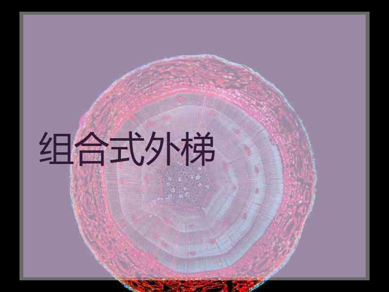 组合式外梯