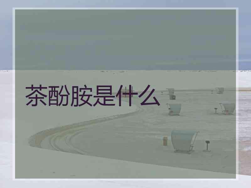 茶酚胺是什么