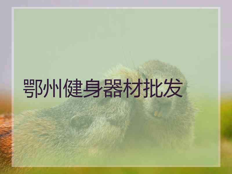 鄂州健身器材批发