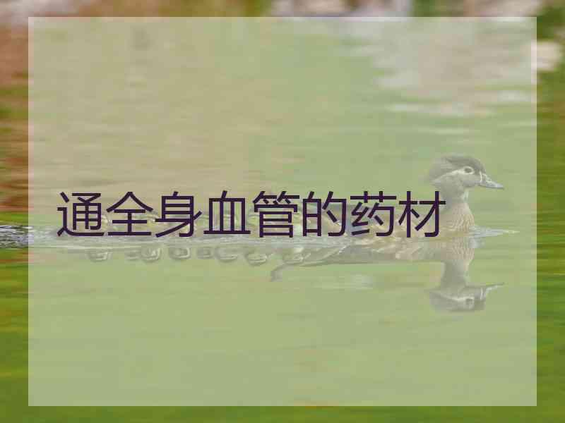 通全身血管的药材