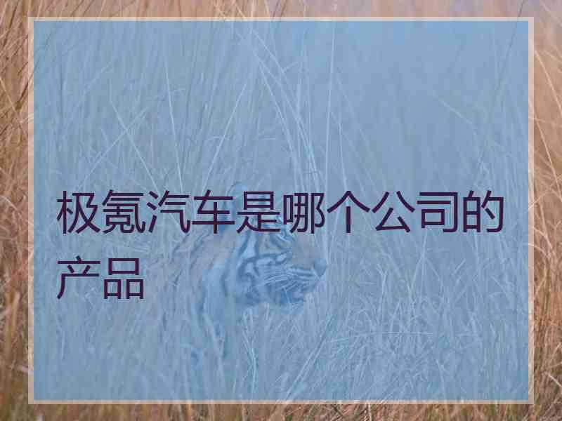 极氪汽车是哪个公司的产品