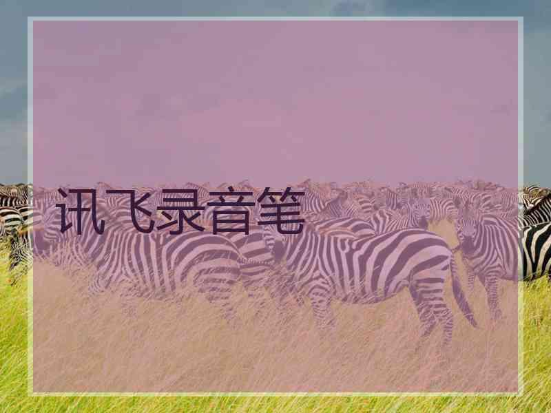 讯飞录音笔