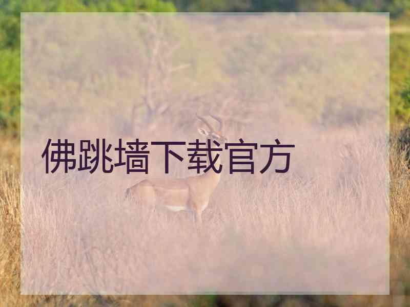 佛跳墙下载官方
