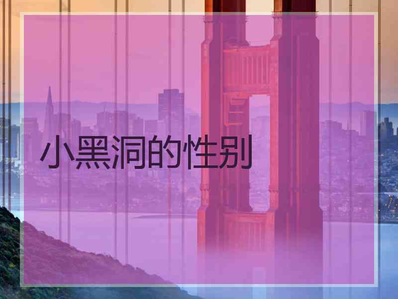 小黑洞的性别