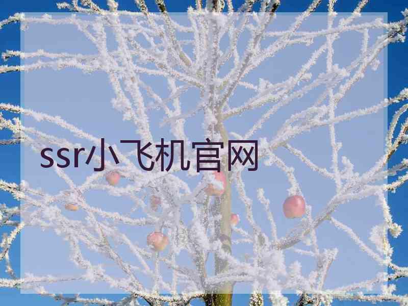 ssr小飞机官网