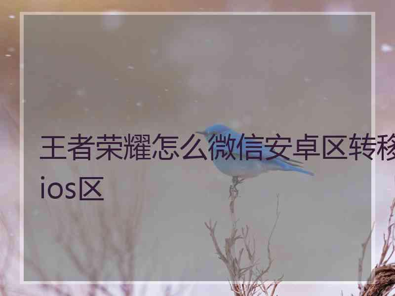 王者荣耀怎么微信安卓区转移ios区