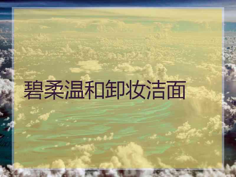 碧柔温和卸妆洁面