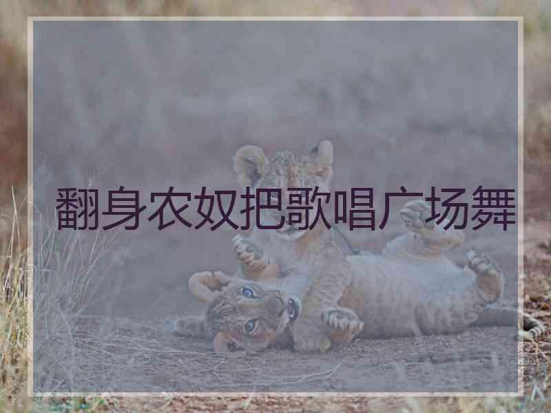 翻身农奴把歌唱广场舞