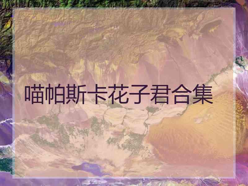 喵帕斯卡花子君合集