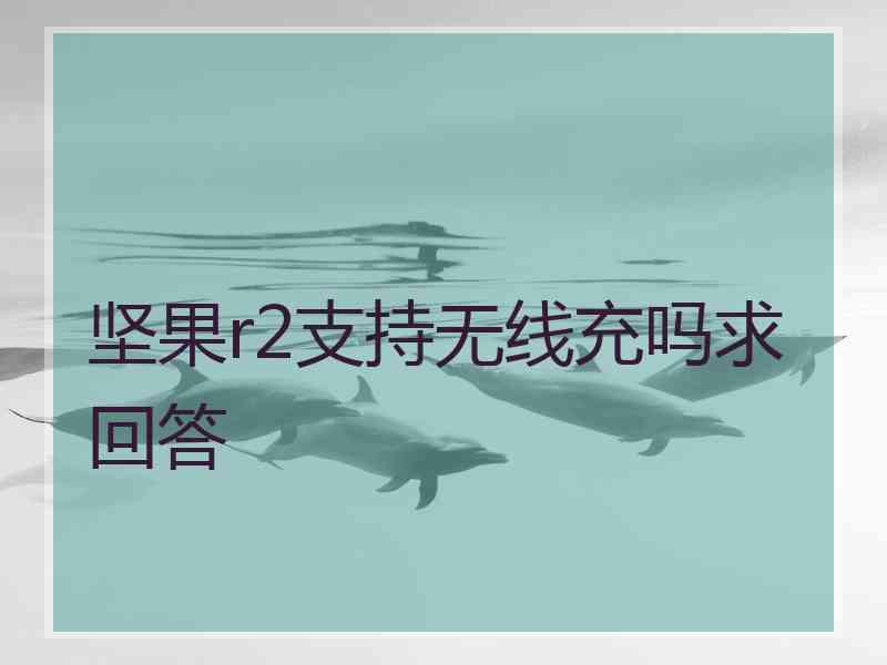 坚果r2支持无线充吗求回答