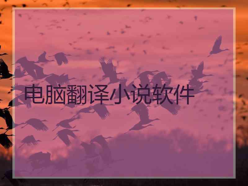 电脑翻译小说软件