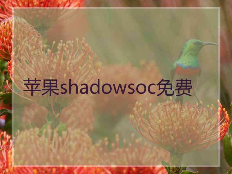 苹果shadowsoc免费