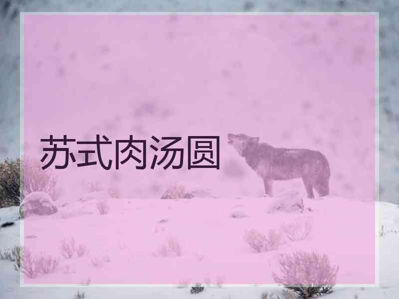 苏式肉汤圆