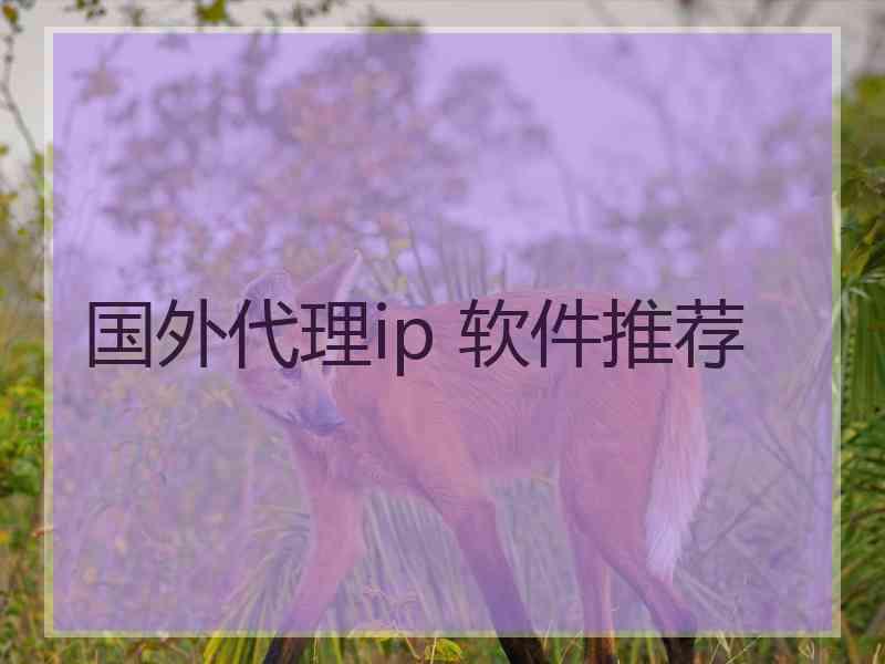 国外代理ip 软件推荐