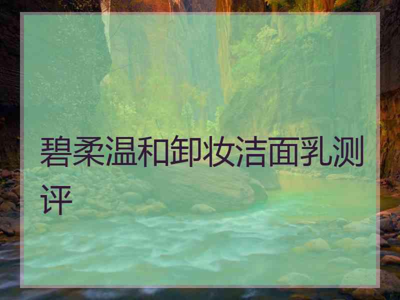 碧柔温和卸妆洁面乳测评