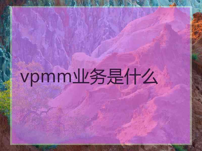 vpmm业务是什么