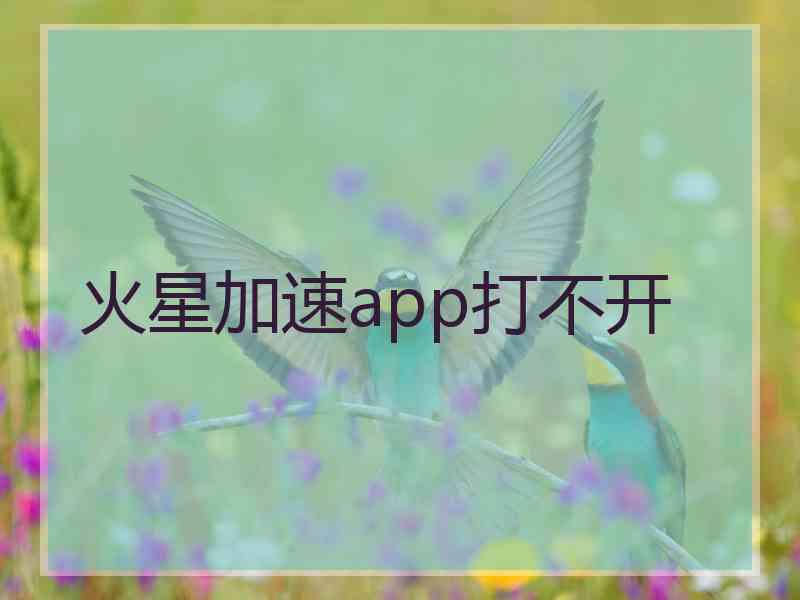 火星加速app打不开