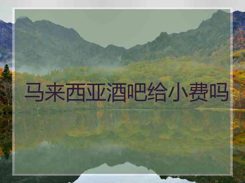 马来西亚酒吧给小费吗