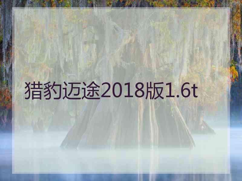 猎豹迈途2018版1.6t