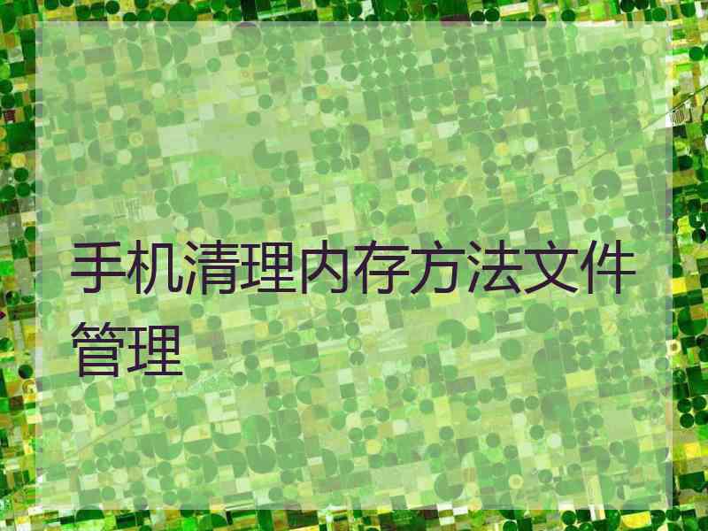 手机清理内存方法文件管理