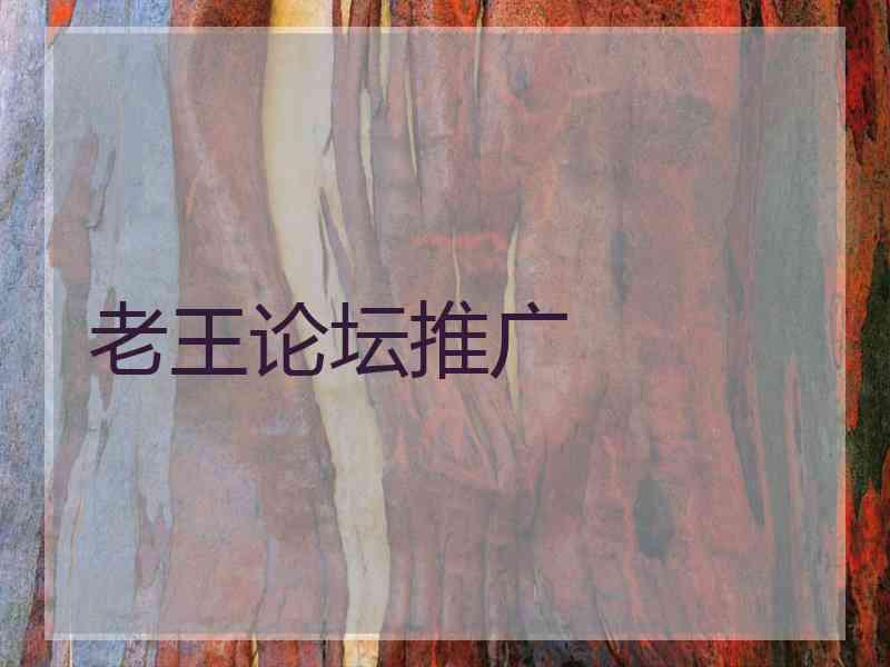 老王论坛推广